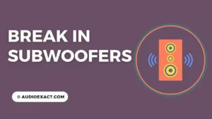 What is & How to break in a Subwoofer? Step-by-Step Guide